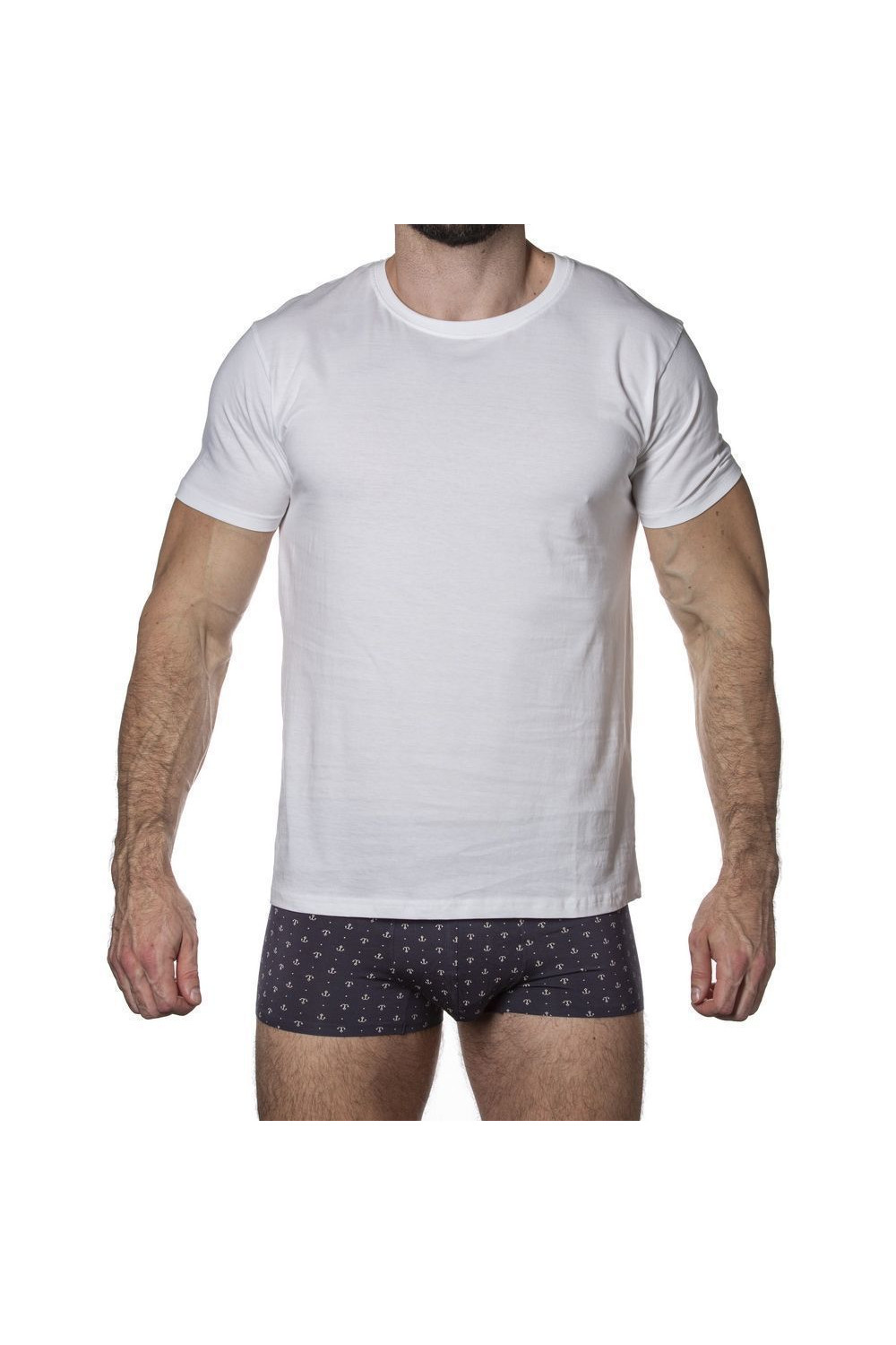 SDT750  футболка мужская Sergio Dallini с круглым вырезом